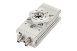 Vérin pneumatique rotatif