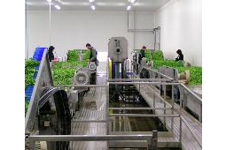 Ligne et chaine de lavage pour légumes et fruits