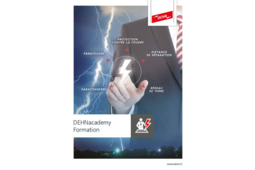 Formation Dehn France risque foudre