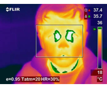 Détection de la grippe porcine et d'autres maladies virales grâce aux caméras infrarouges FLIR