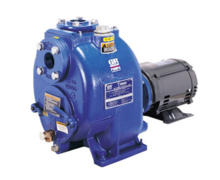 Pompe monobloc pour liquides chargés